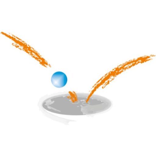 logo sensibel beraten -