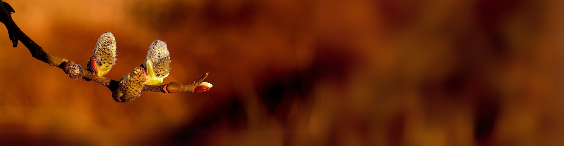 Coaching für Hochsensible und hochbegabte Menschen