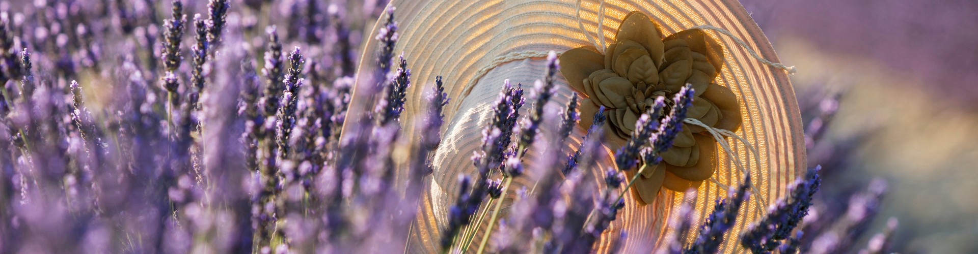 cordula roemer hochsensibel